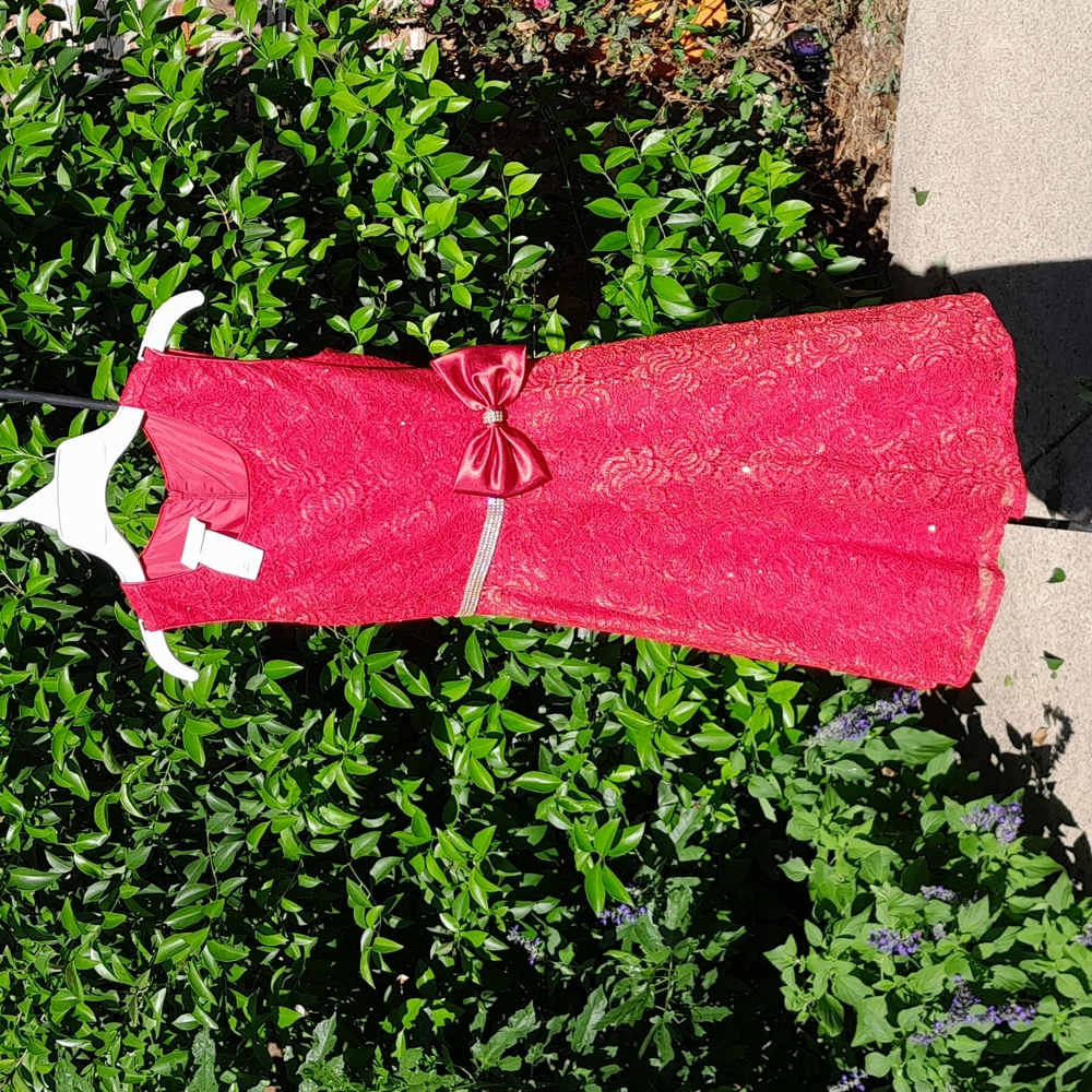 Red Lace Dress with Rhinestones